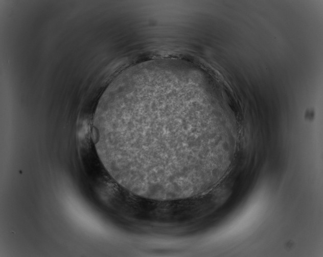 X0000101160191200807181408