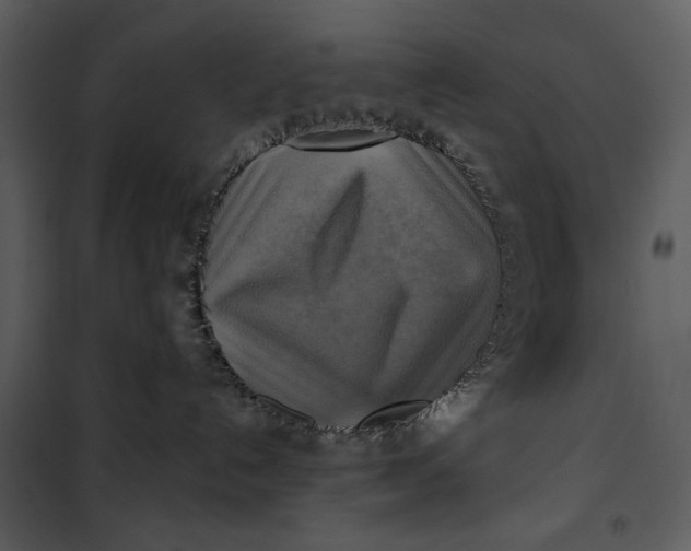 X0000101160192200807181408