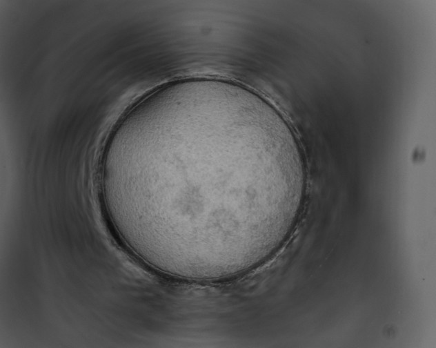 X0000101160193200807181407