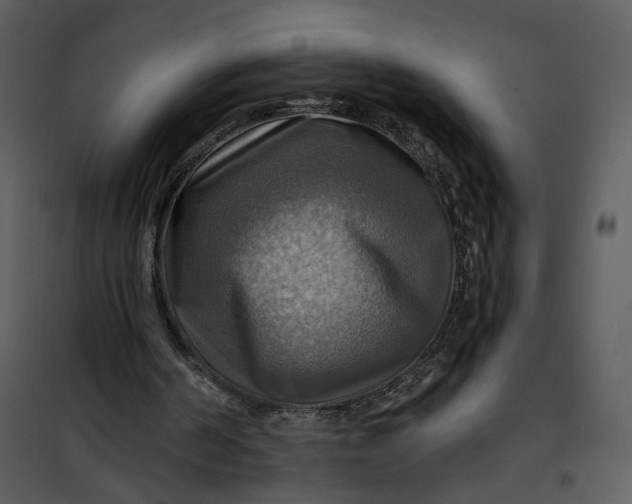 X0000101160194200807181407