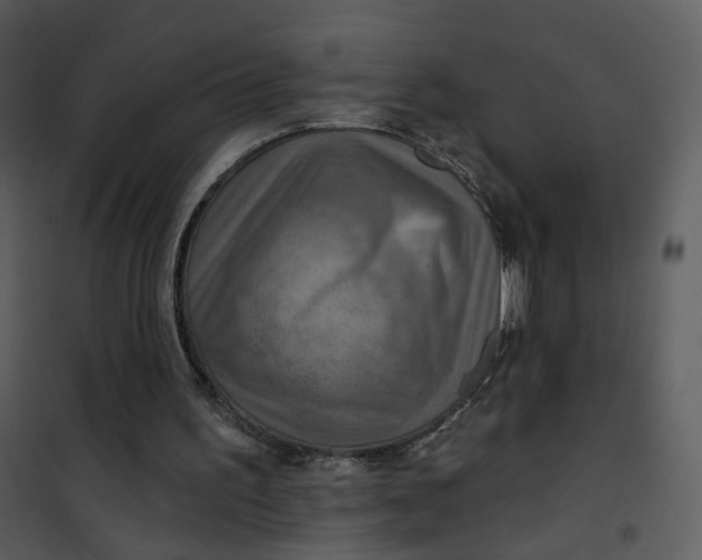 X0000101160195200807181407