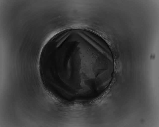X0000101160196200807181407