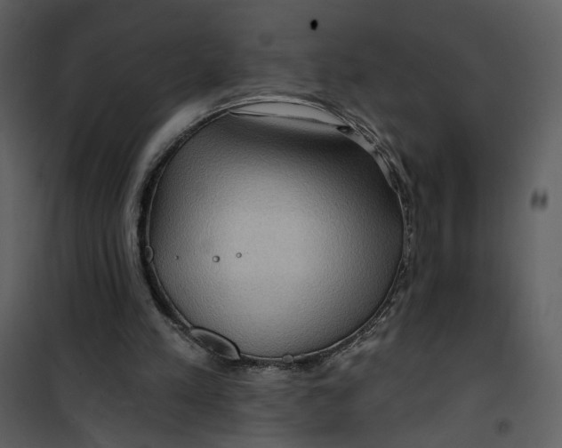 X0000101160197200807181407