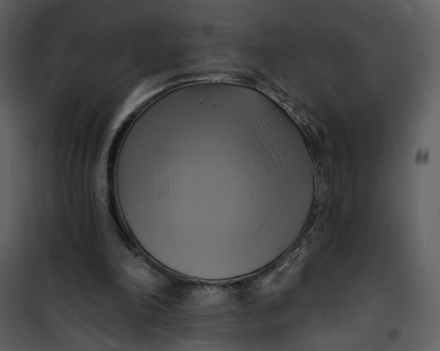 X0000101160198200807181407