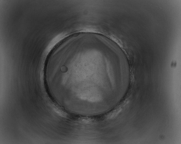 X0000101160199200807181407