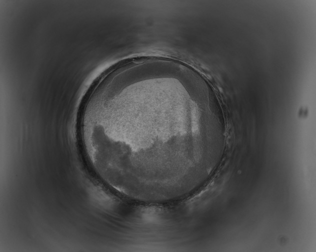 X0000101160200200807181407