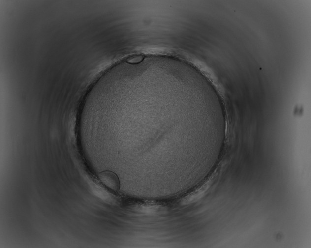 X0000101160201200807181407