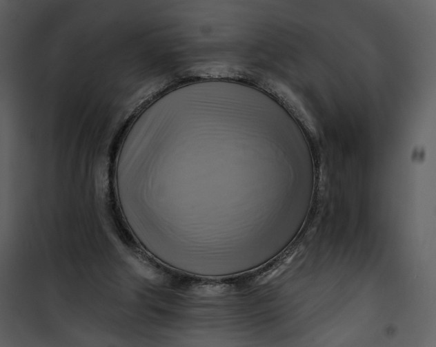 X0000101160202200807181407