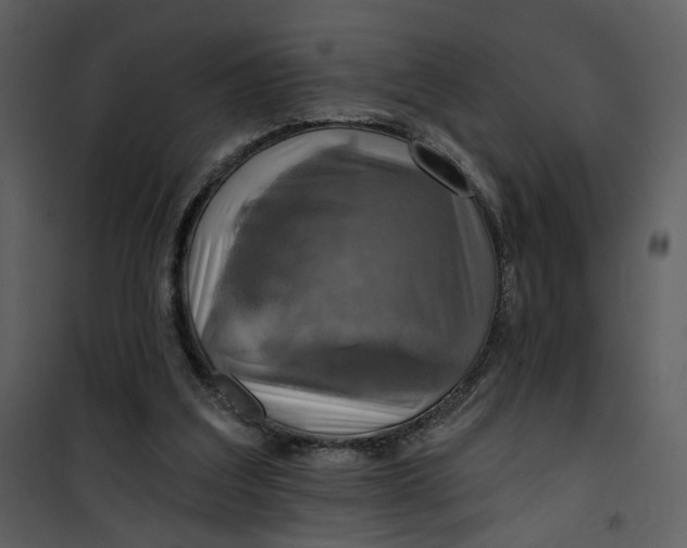 X0000101160203200807181407