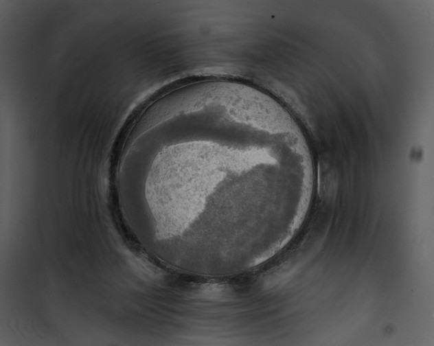 X0000101160204200807181407