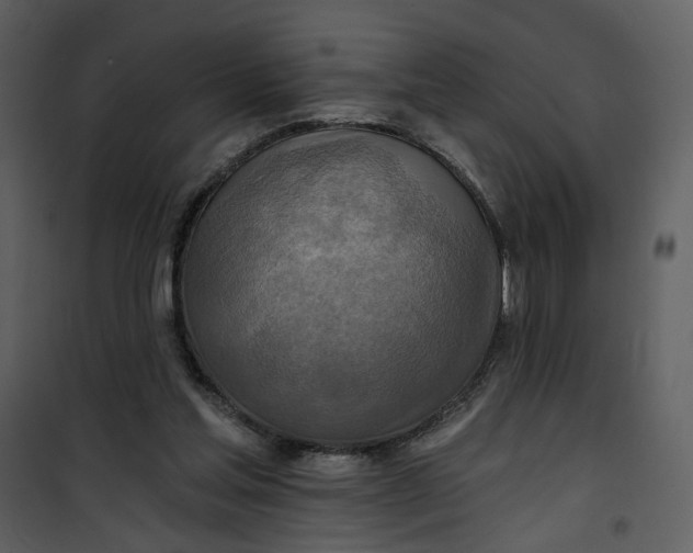 X0000101160205200807181407