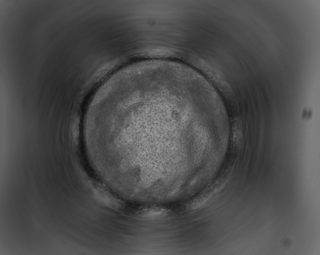 X0000101160206200807181407