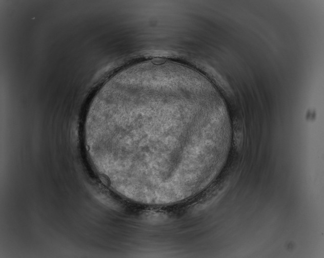 X0000101160207200807181407