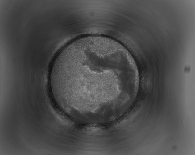 X0000101160208200807181407