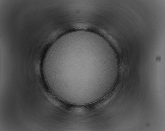 X0000101160209200807181407