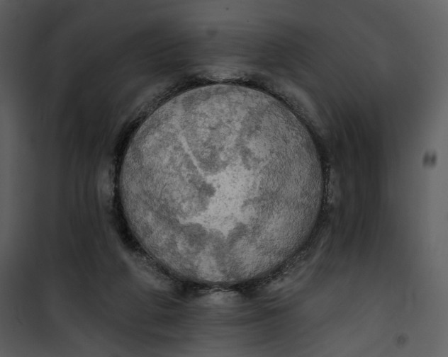 X0000101160210200807181407
