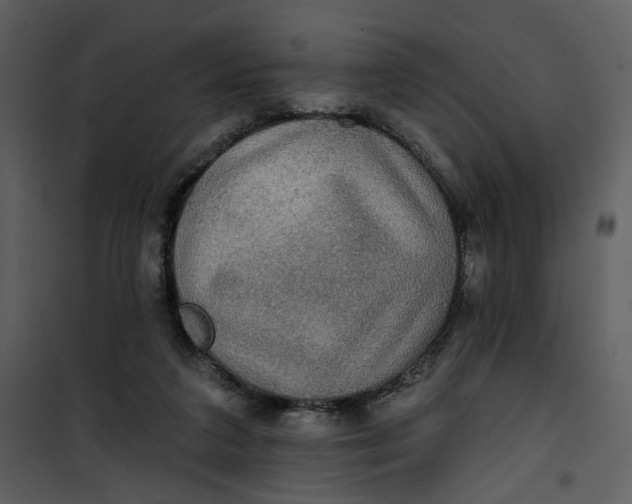 X0000101160211200807181407