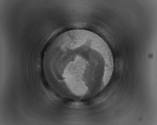 X0000101160212200807181407
