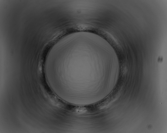 X0000101160214200807181407