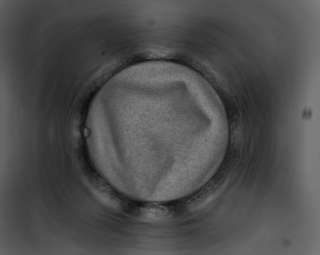 X0000101160215200807181407