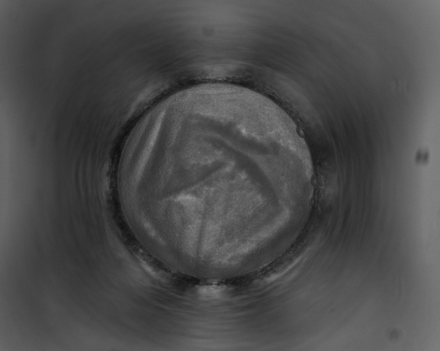 X0000101160216200807181407