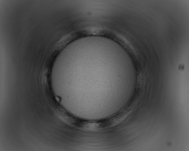 X0000101160217200807181407
