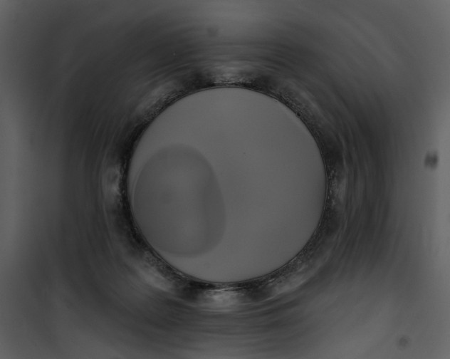 X0000101160219200807181407