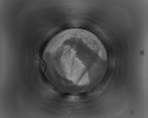 X0000101160220200807181407