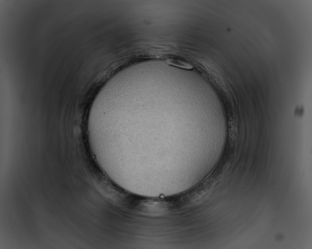 X0000101160221200807181407