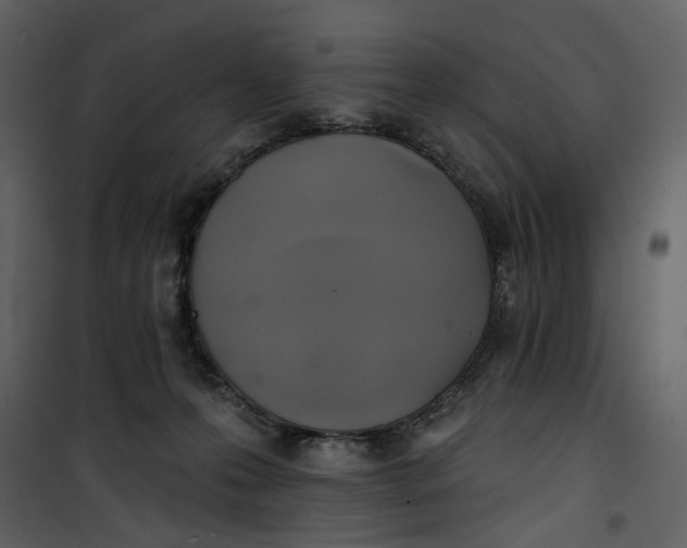 X0000101160223200807181407