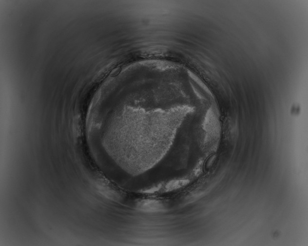 X0000101160224200807181407