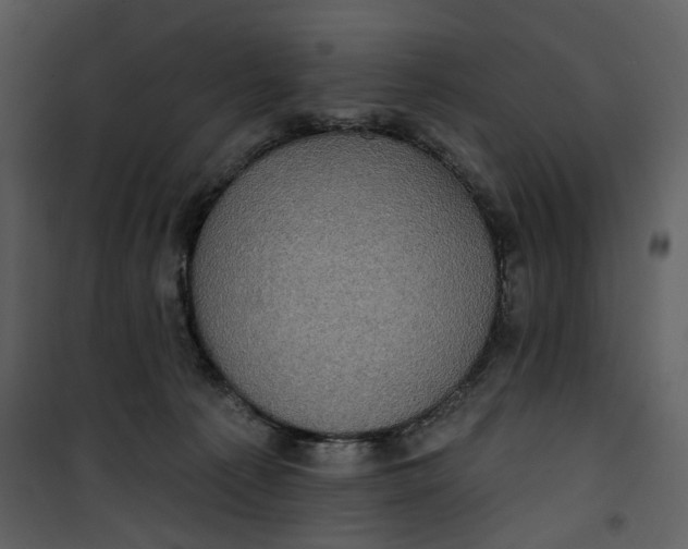 X0000101160225200807181407