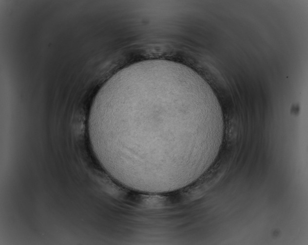 X0000101160226200807181407