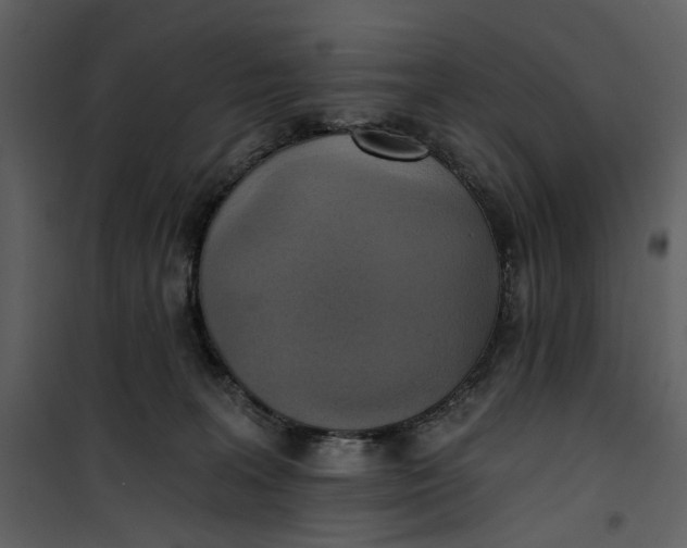 X0000101160227200807181407
