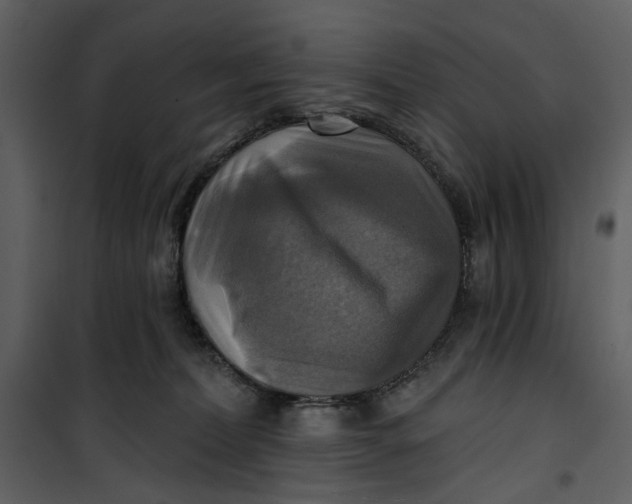 X0000101160228200807181407