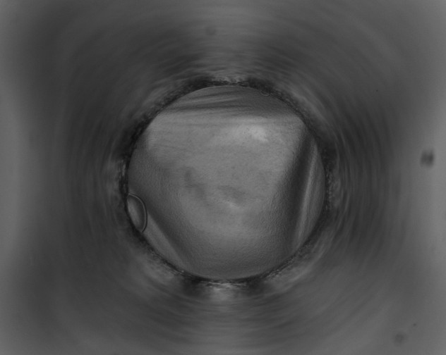 X0000101160229200807181406