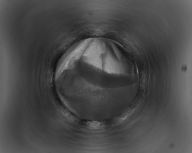 X0000101160230200807181406