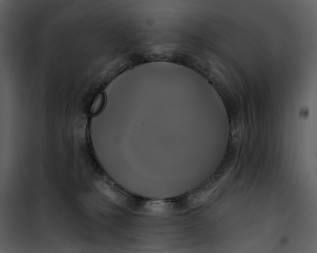 X0000101160231200807181406