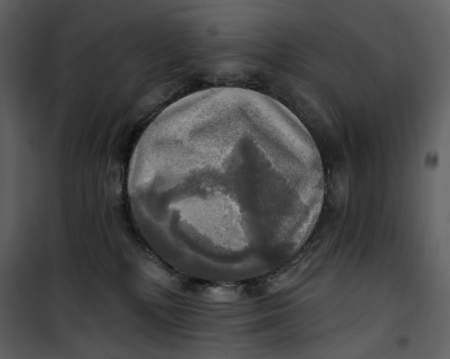 X0000101160232200807181406