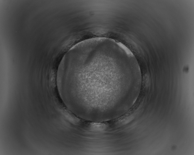 X0000101160234200807181406