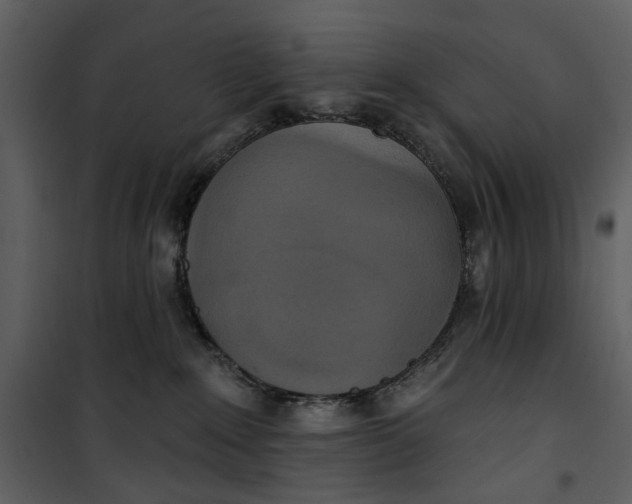 X0000101160235200807181406