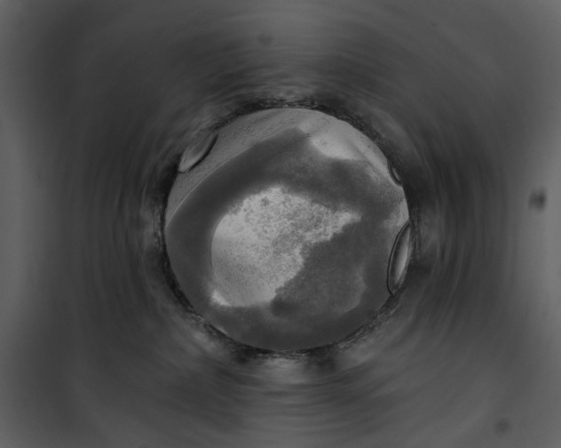 X0000101160236200807181406