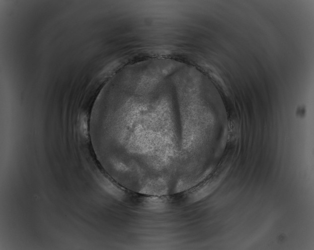 X0000101160238200807181406