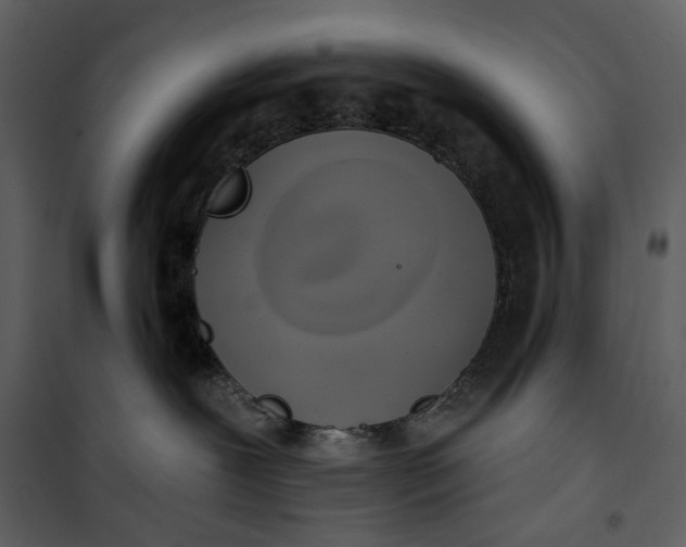 X0000101160239200807181406