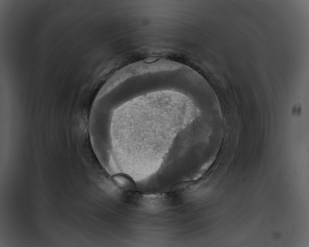 X0000101160240200807181406