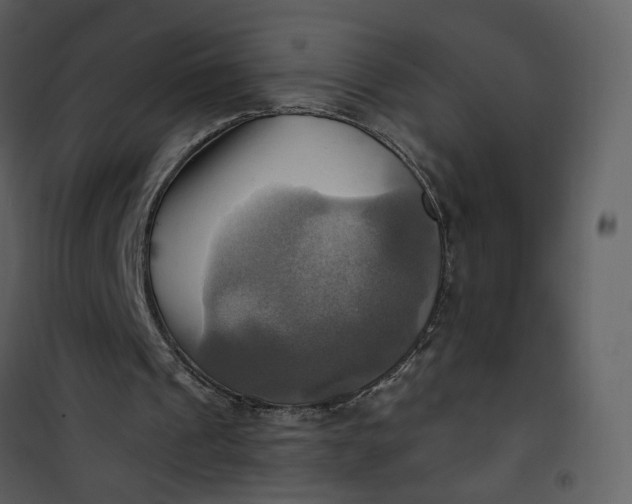 X0000101160241200807181405