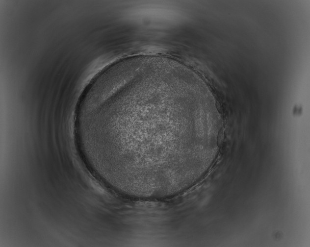 X0000101160242200807181405