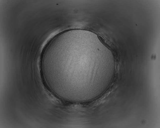 X0000101160244200807181405