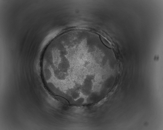 X0000101160245200807181405