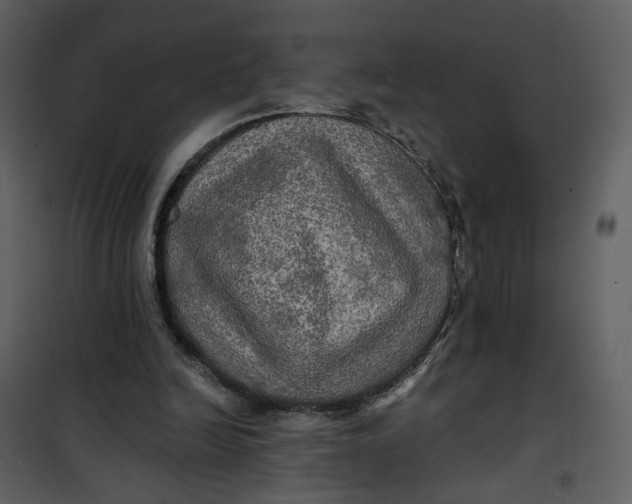 X0000101160246200807181405